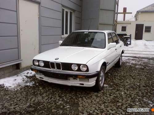 BMW 316i: 8 фото