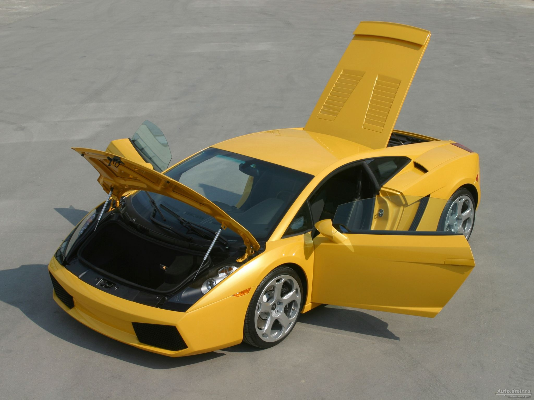 Lamborghini Gallardo: 10 фото