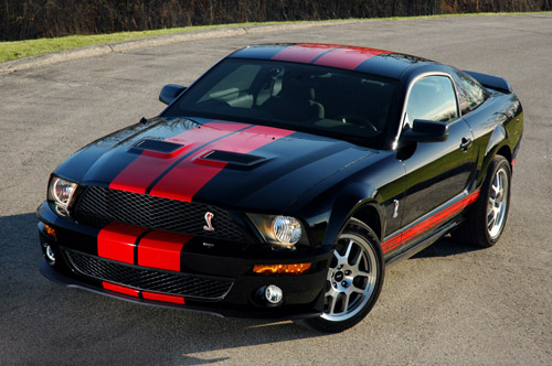 Ford Shelby: 03 фото