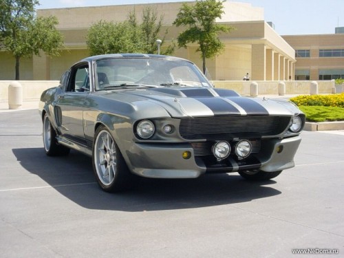 Ford Shelby: 08 фото